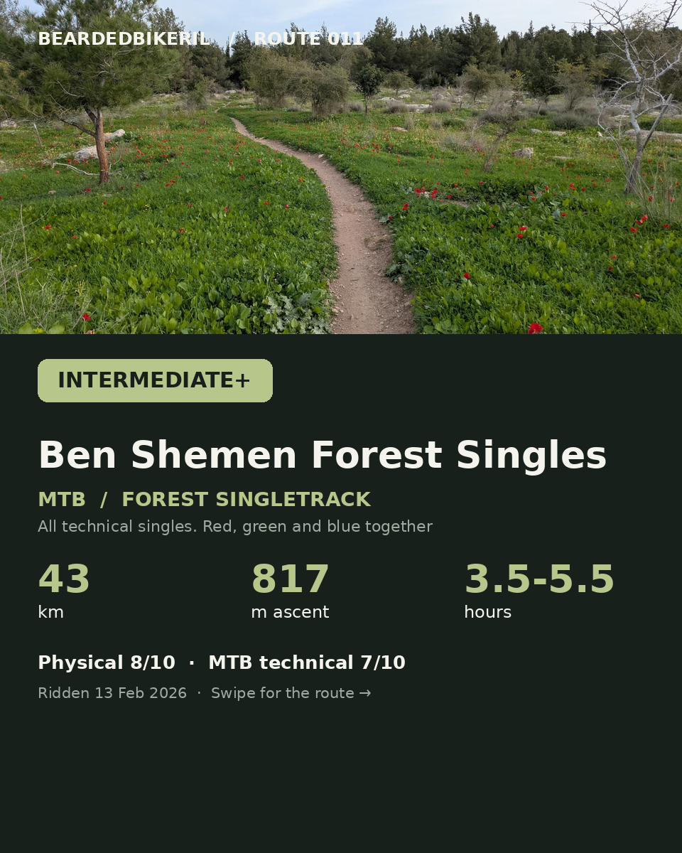 Route 011 cover: Ben Shemen Forest Singles